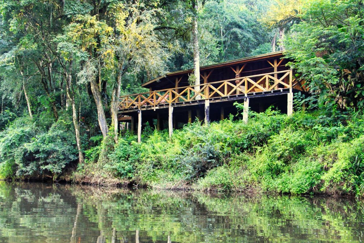 Margay - Reserva Natural Y Lodge De Selva El Soberbio Esterno foto